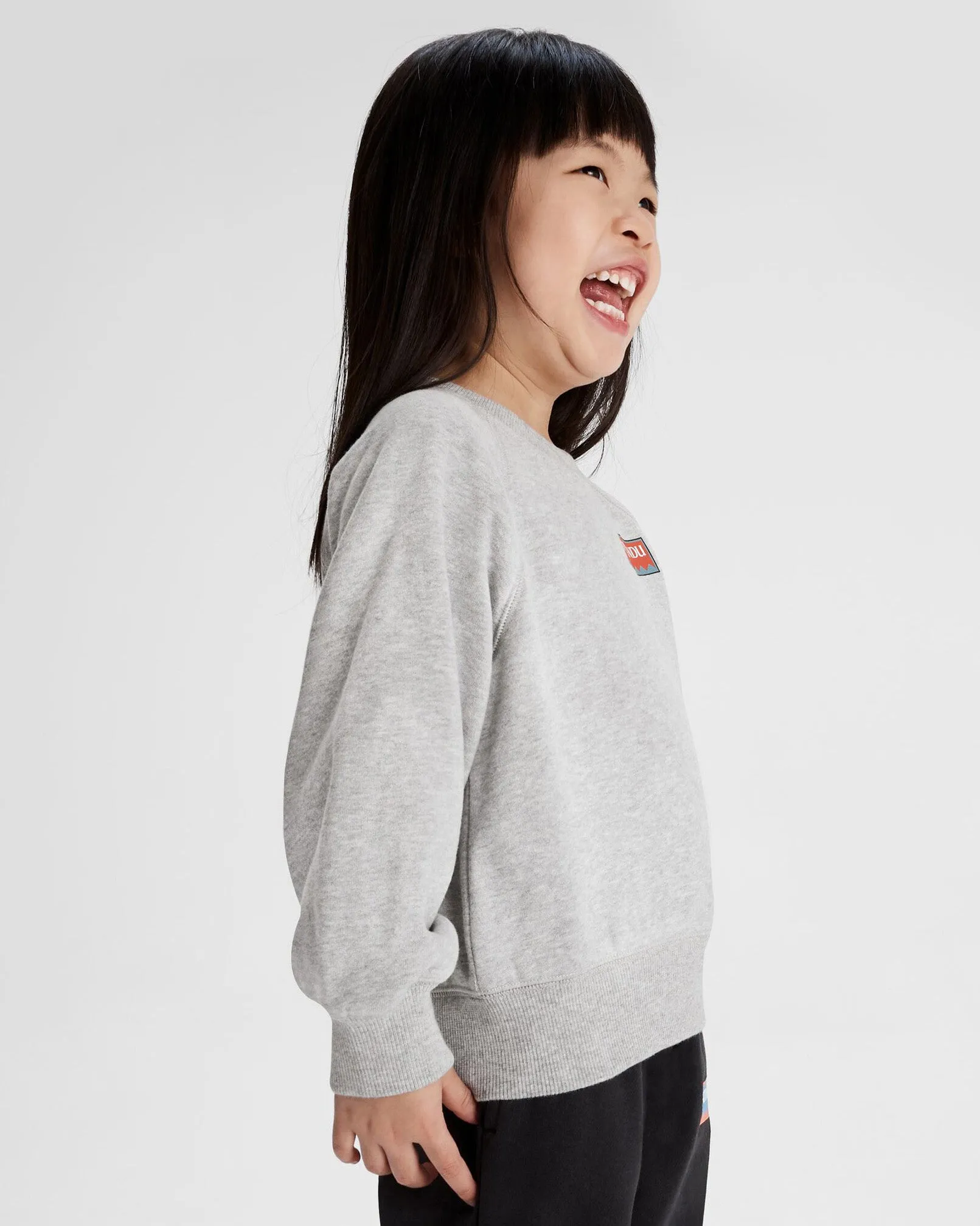 Kids' Heritage Logo LT BB Crew Sweatshirt - Light Grey Marle